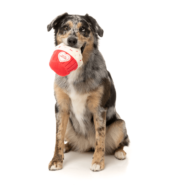You're Pawsome Cupcake - Jouet de la collection Love - Jouet pour chien