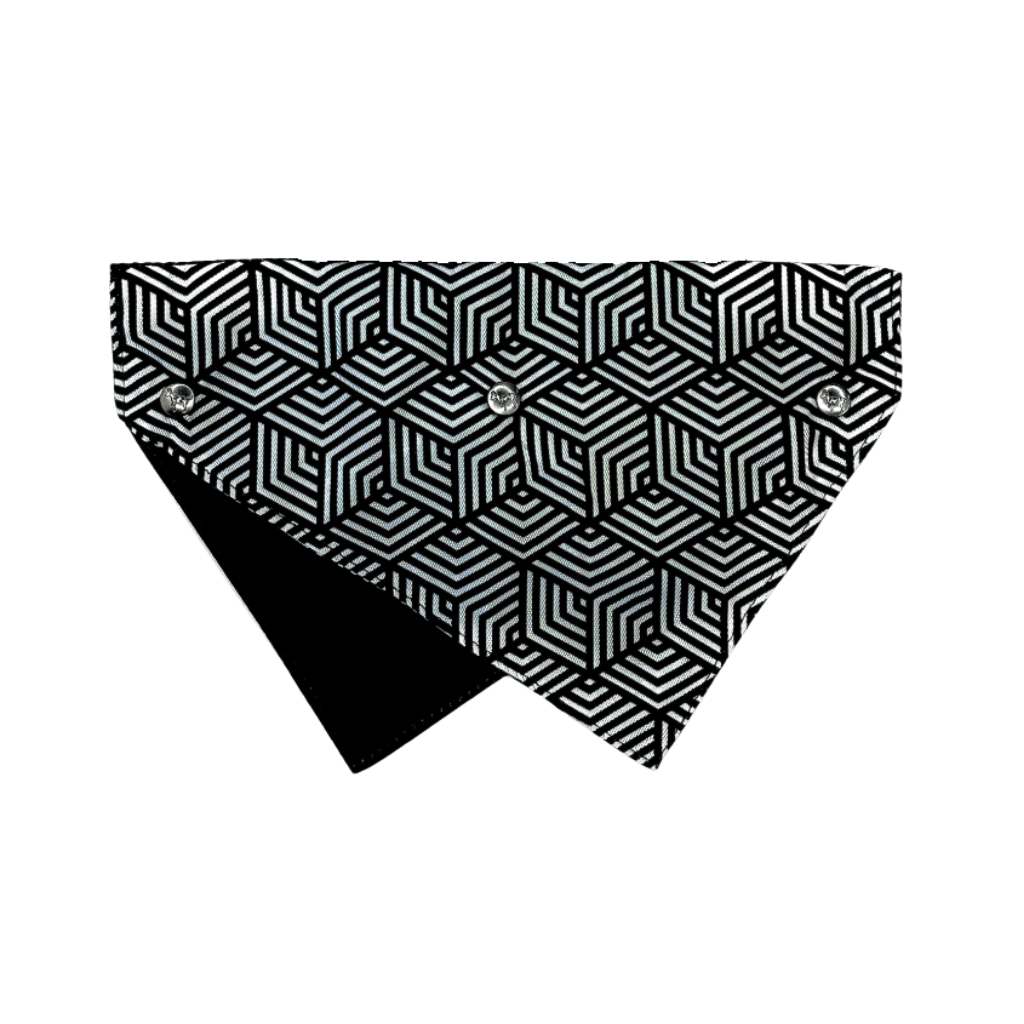 Harnais de plastron pour chien You Drive Me Glazy