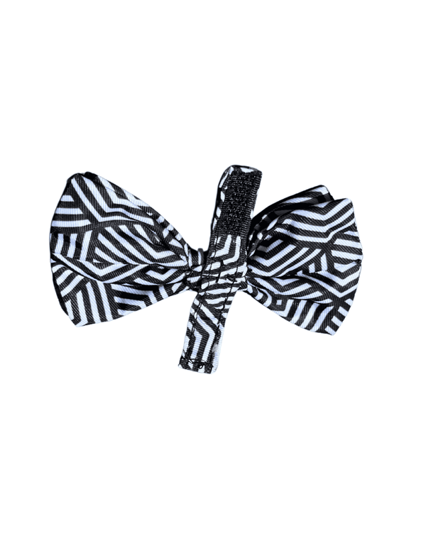 Fitzroy - Nœud papillon pour chien et chat