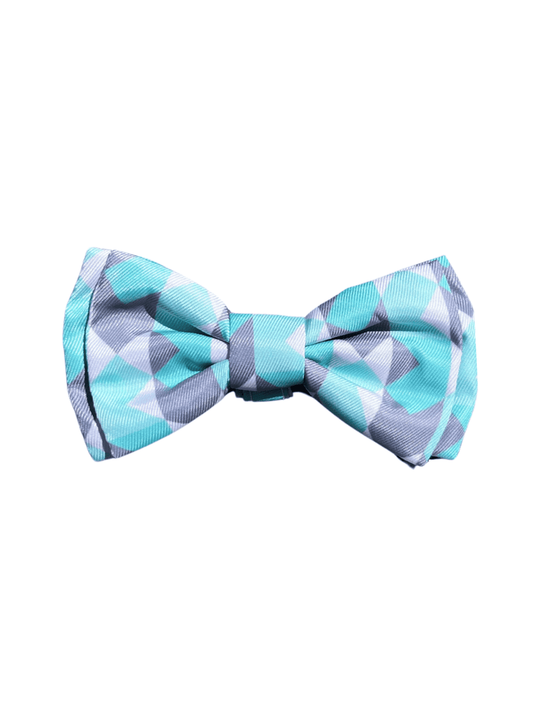 Mint Fizz - Nœud papillon pour chiens et chats
