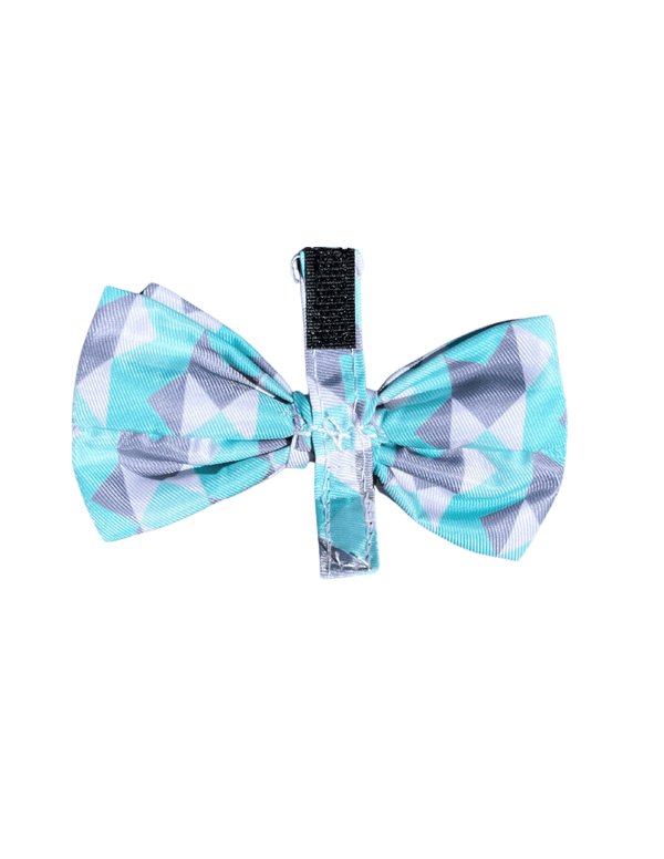 Mint Fizz - Nœud papillon pour chiens et chats