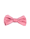 Thornbury Brick Red  - Nœud papillon pour chiens et chats