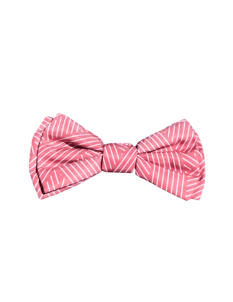 Thornbury Brick Red  - Nœud papillon pour chiens et chats