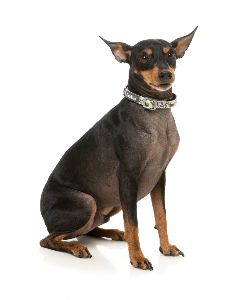 Dog Collar Bel Air