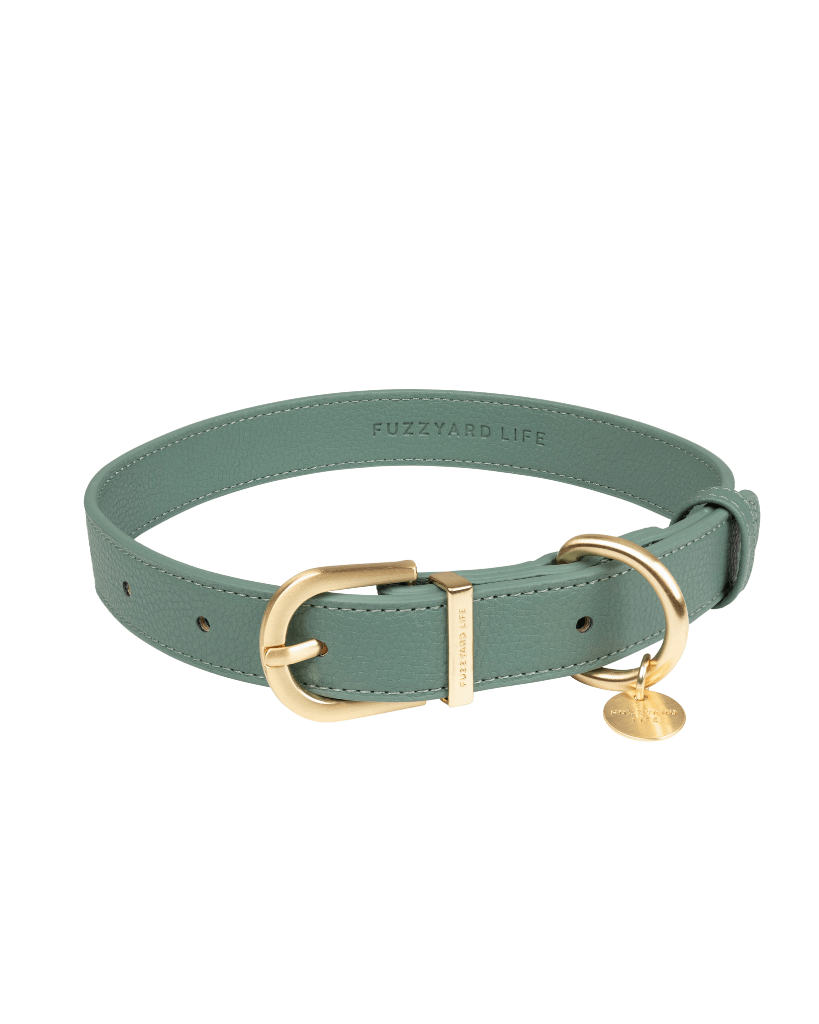 Myrtle Green - Collier pour chien Atelier