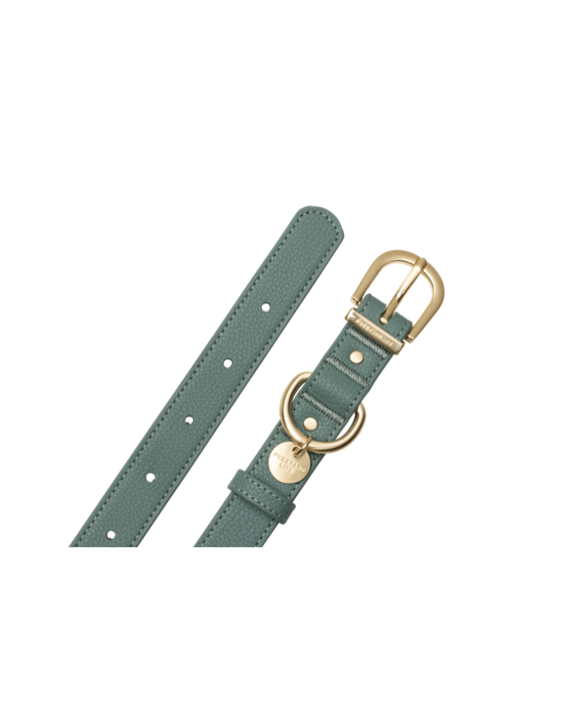 Myrtle Green - Collier pour chien Atelier