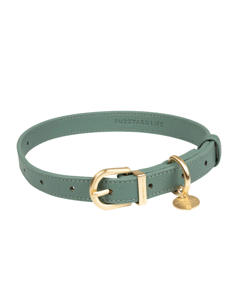  Myrtle Green - Collier pour chien Atelier