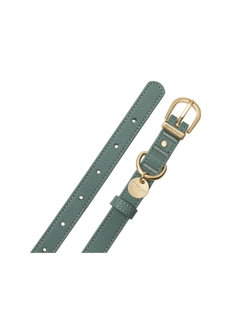  Myrtle Green - Collier pour chien Atelier