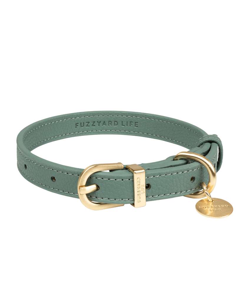 Myrtle Green - Collier pour chien Atelier