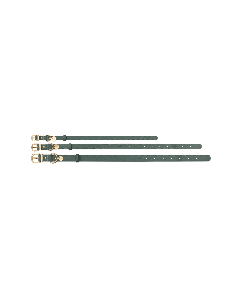  Myrtle Green - Collier pour chien Atelier