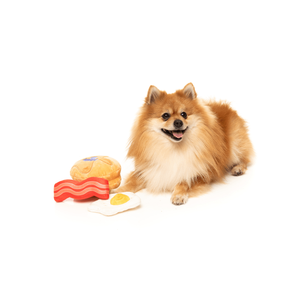 Le petit-déjeuner parfait pour chien - Jouet pour chien