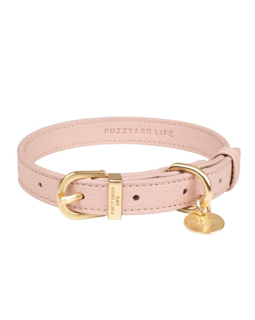 Soft Blush - Collier pour chien Atelier