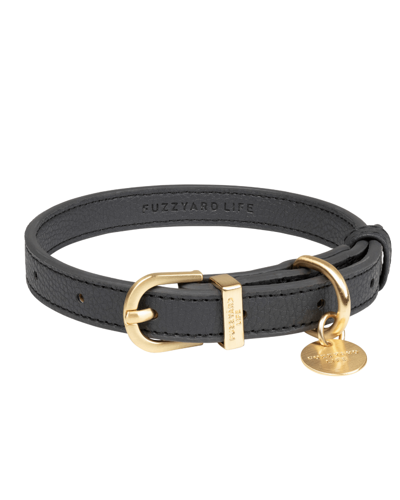 Slate Grey - Collier pour chien Atelier