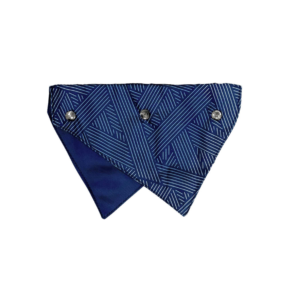 Harnais de plastron pour chien You Drive Me Glazy