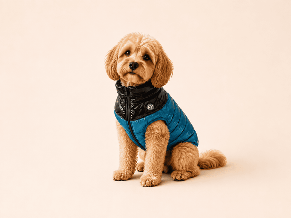 Vêtements FuzzYard