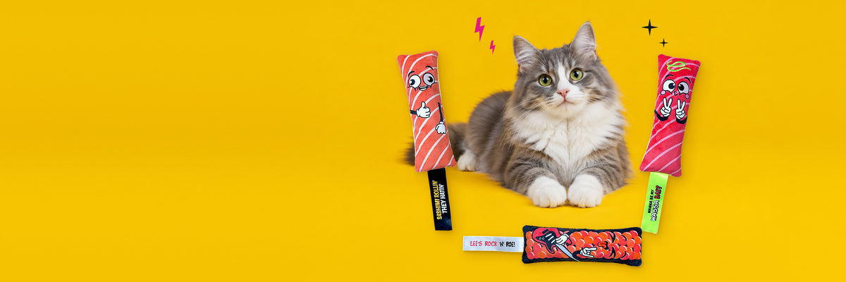 SUSHI TOUS LES JOURS.