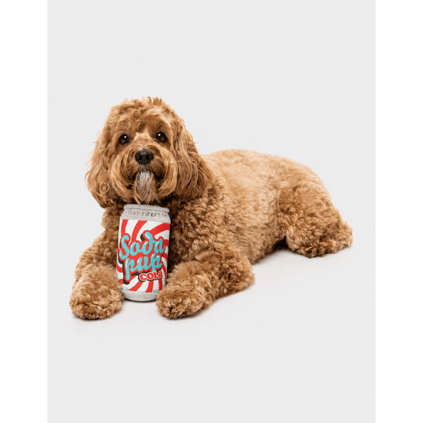 Soda Pup Cola - Canette de boisson - Jouet pour chien
