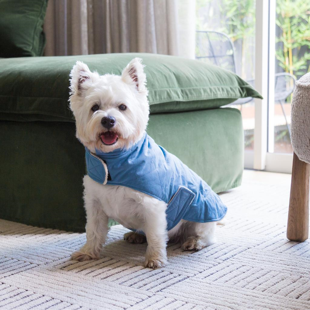 French Blue - Veste matelassée en coton Fuzzyard Life