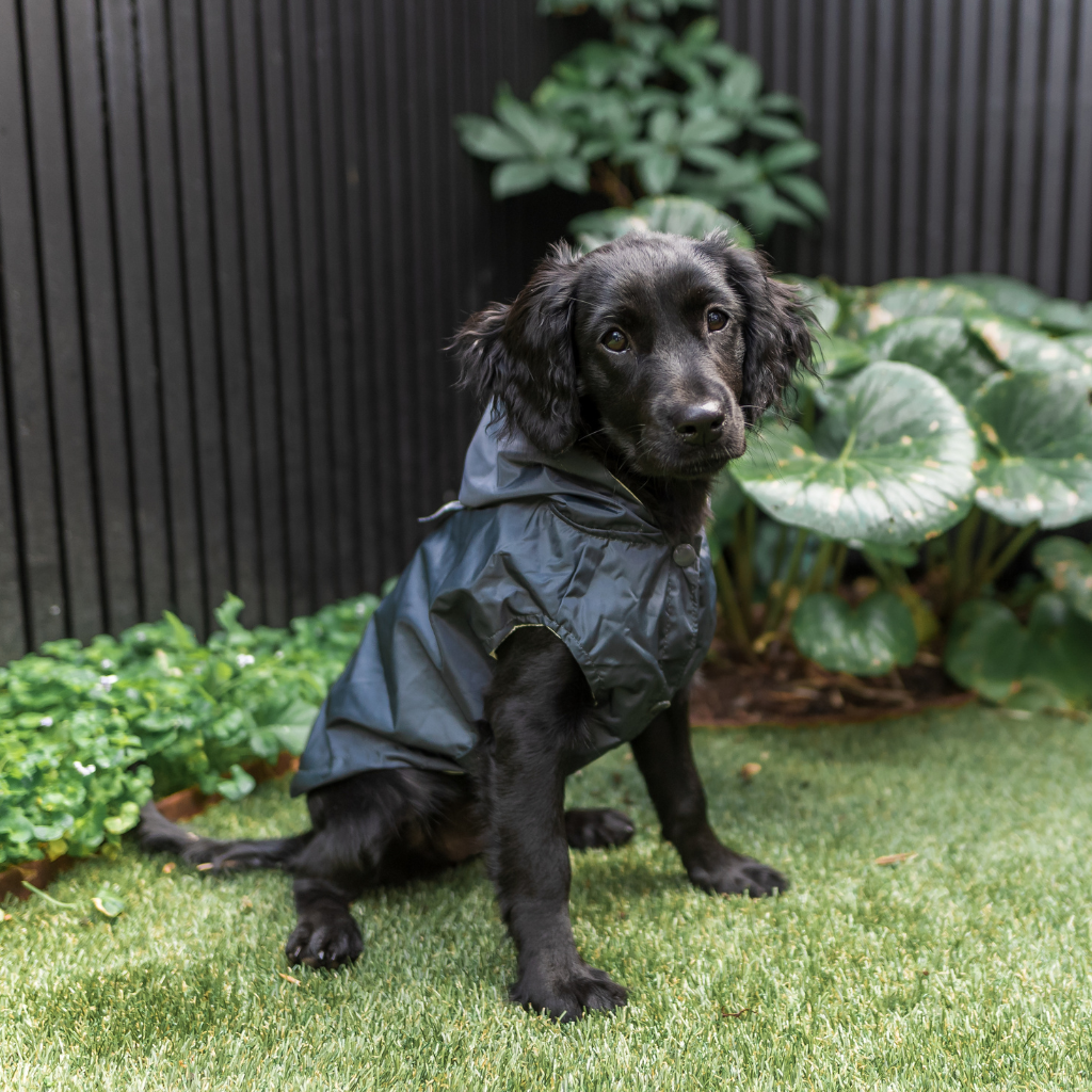 Gris ardoise - Imperméable FuzzYard Life