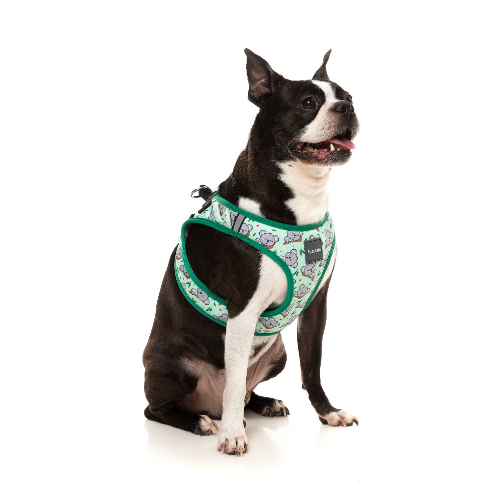 Best In Show Step In Dog Harness