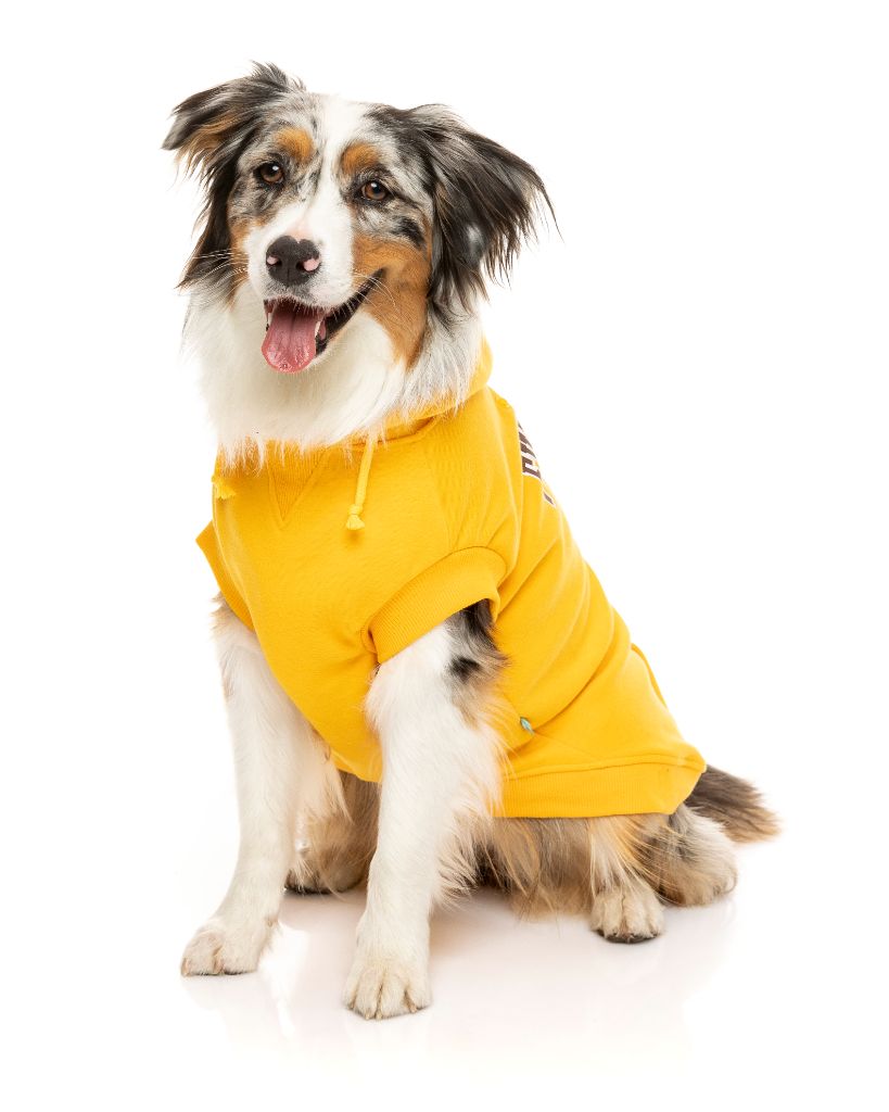 Sudadera con capucha para perros - State Hoodie