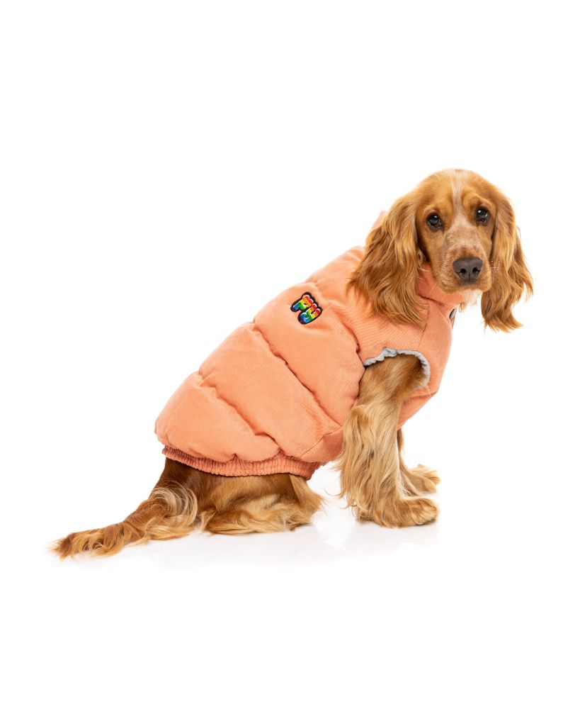 Veste pour chien - Ashbury
