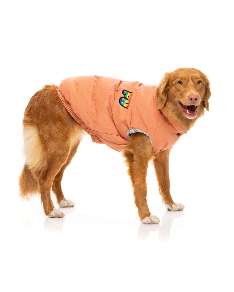 Veste pour chien - Ashbury