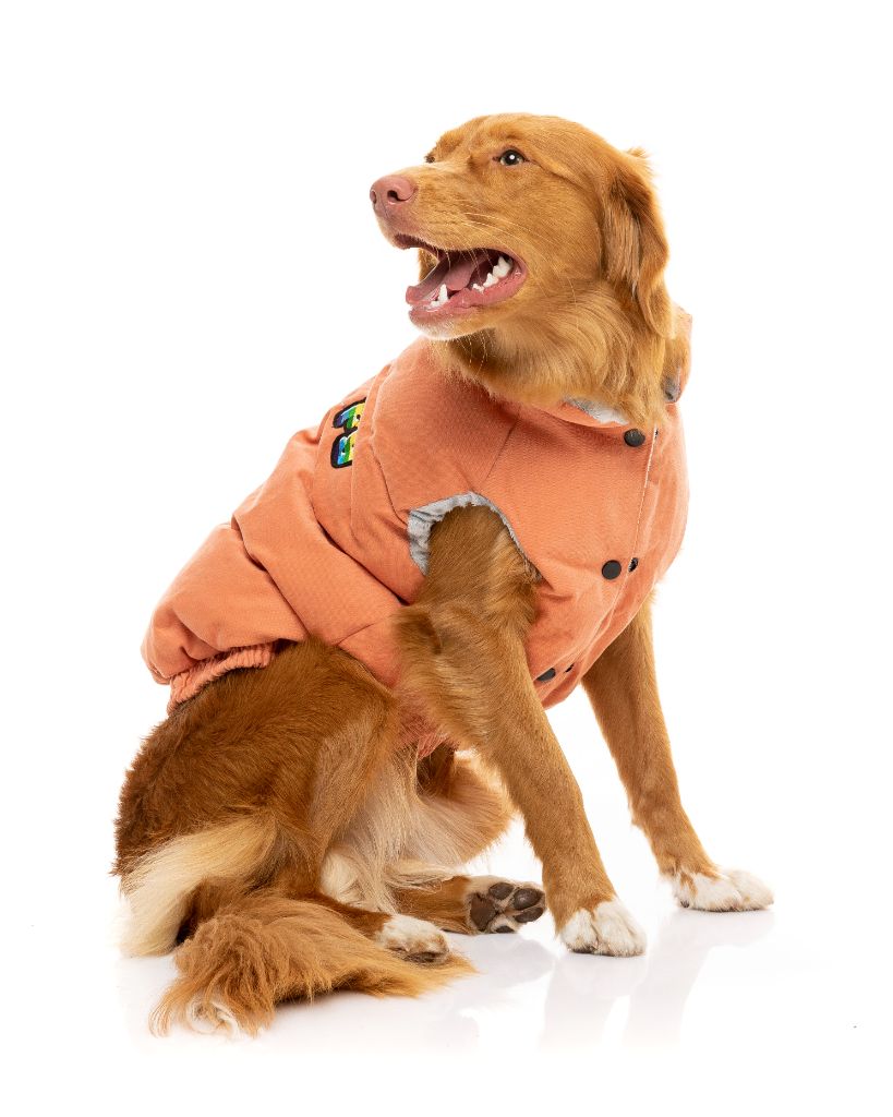 Veste pour chien - Ashbury