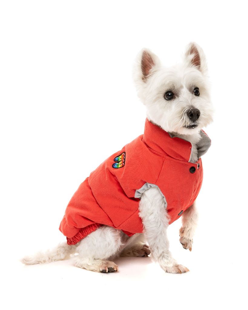 Veste pour chien - Ashbury
