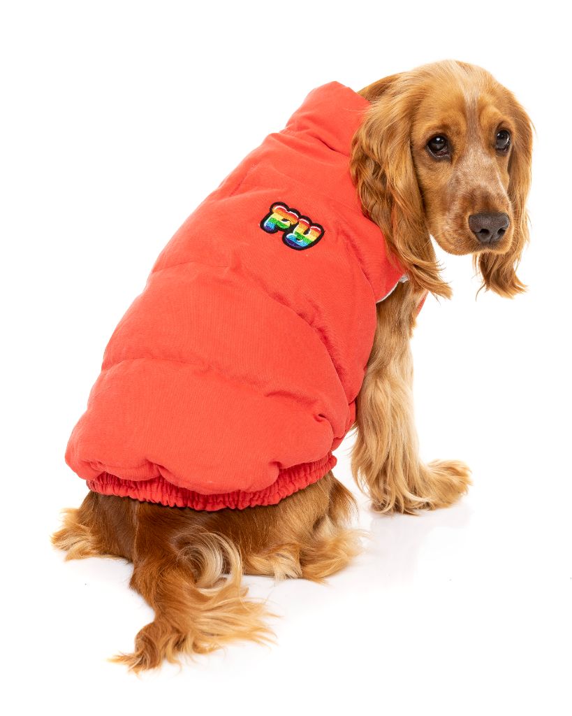 Veste pour chien - Ashbury