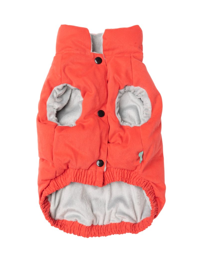 Veste pour chien - Ashbury