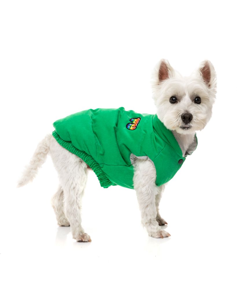 Veste pour chien - Ashbury