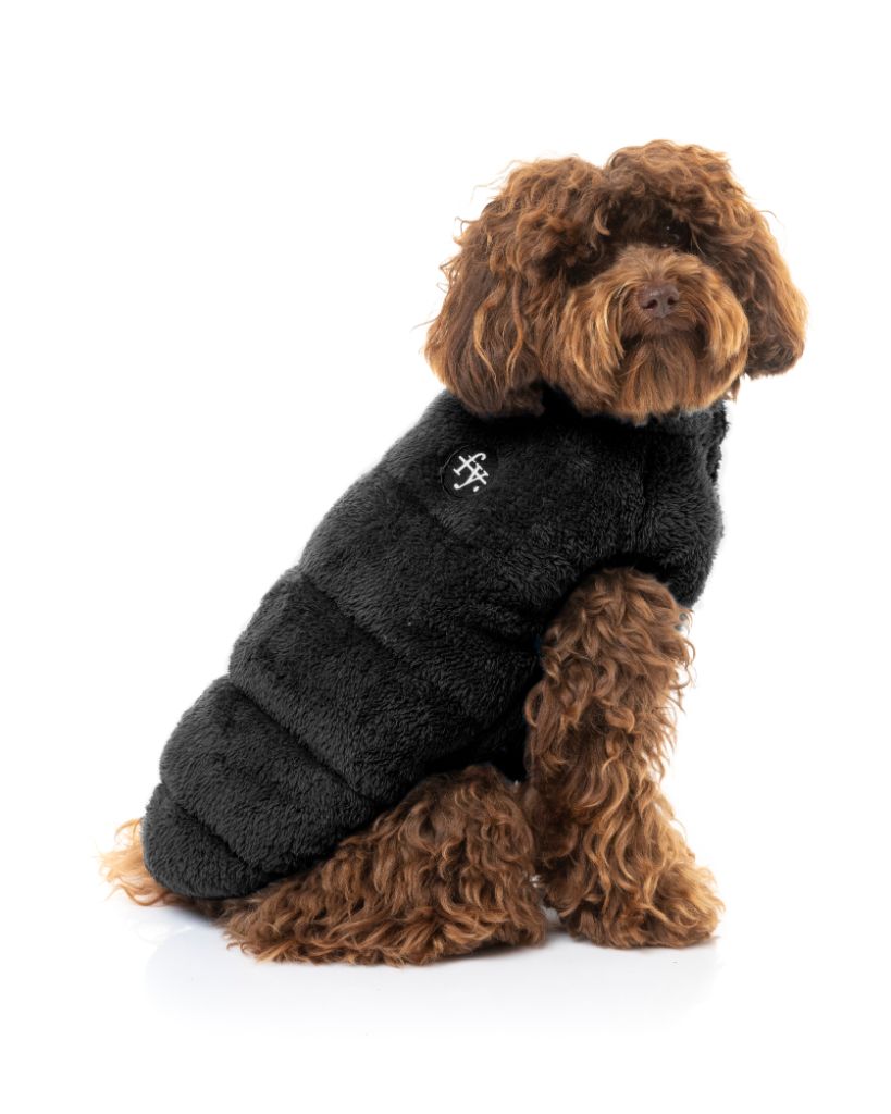 Veste pour chien - Le Vaucluse