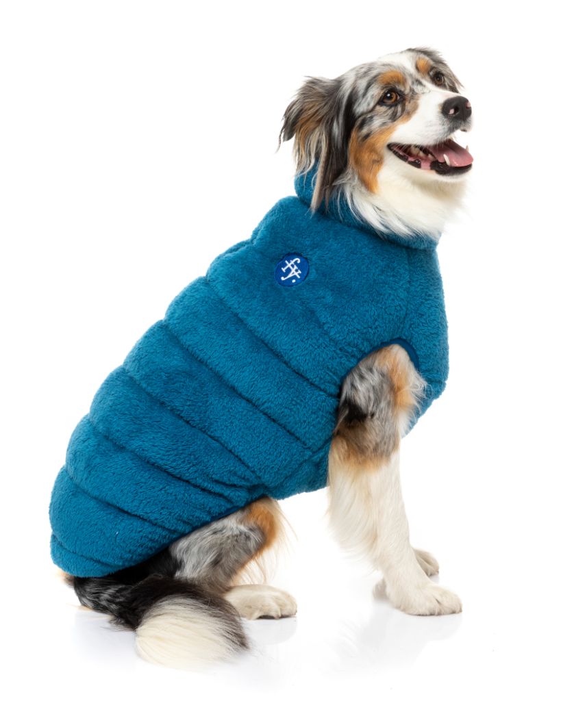 Veste pour chien - Le Vaucluse