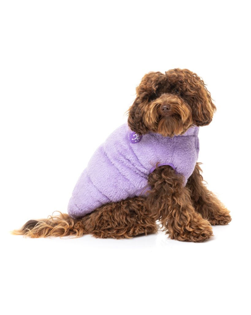 Veste pour chien - Le Vaucluse
