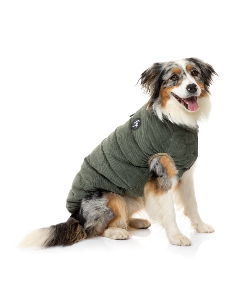 Veste en velours côtelé pour chien - Mosman Puffer