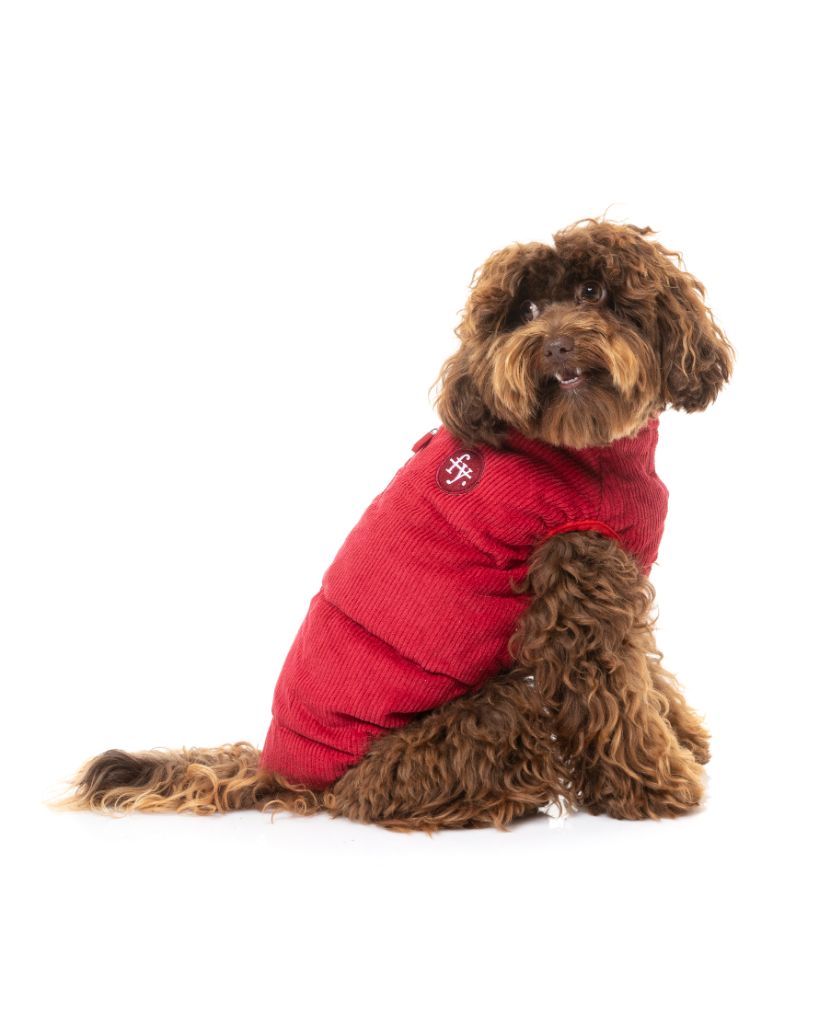 Veste en velours côtelé pour chien - Mosman Puffer