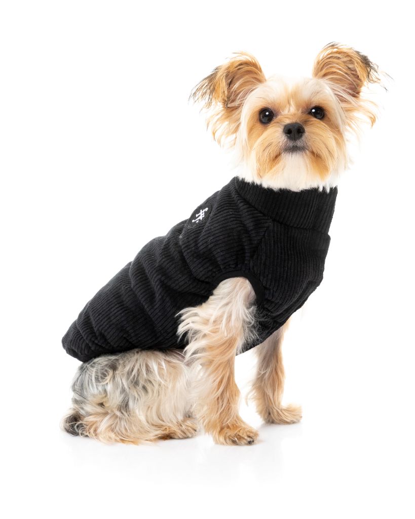 Veste en velours côtelé pour chien - Mosman Puffer