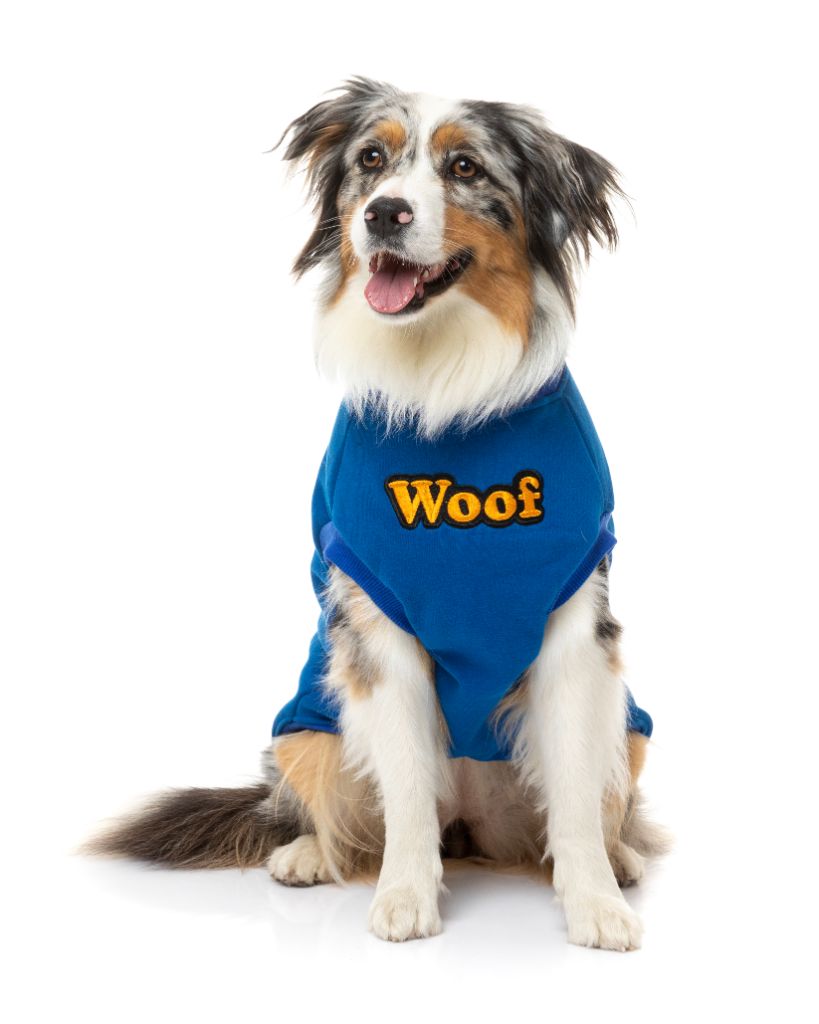 Pull pour chien - Le Woof