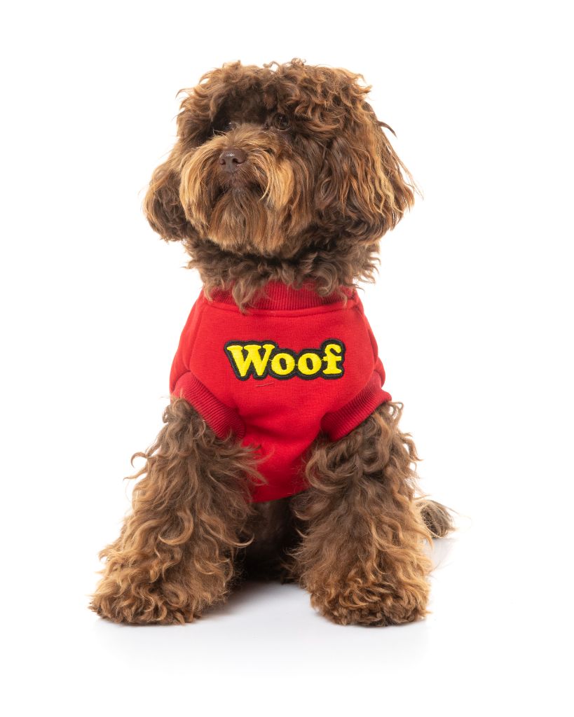 Pull pour chien - Le Woof
