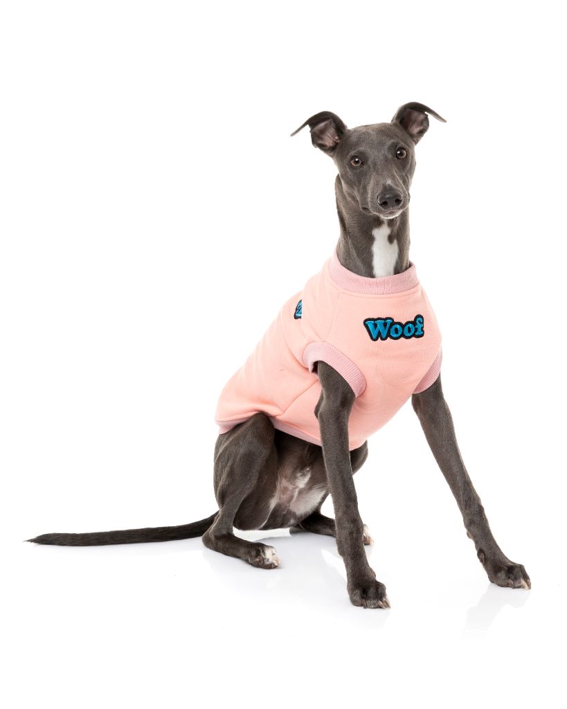 Pull pour chien - Le Woof