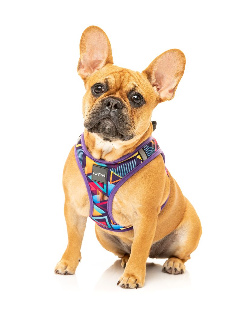 Prism Step In Dog Harness