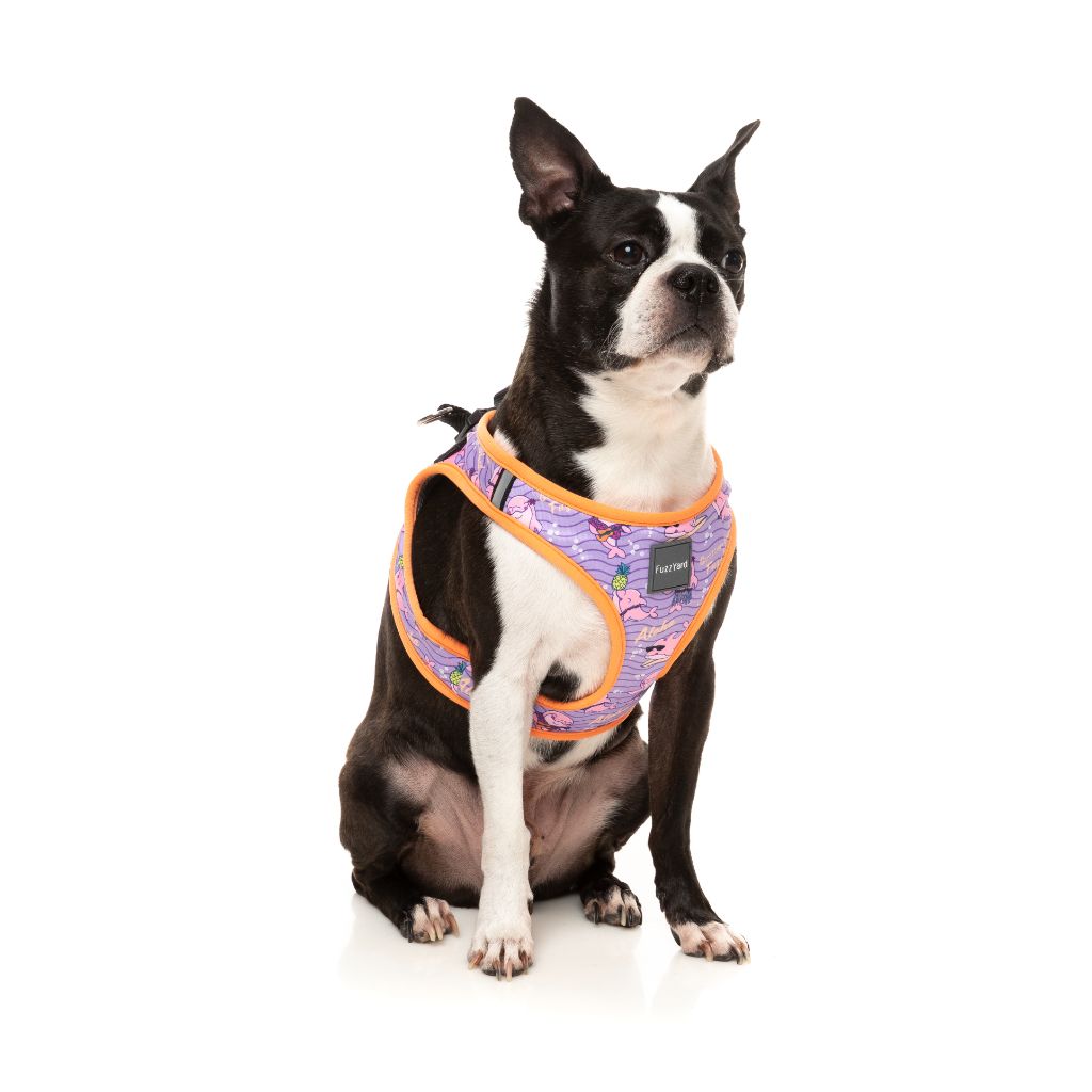 Best In Show Step In Dog Harness