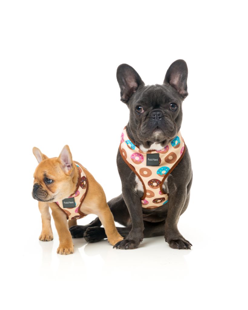 Go Nuts Dog Harness