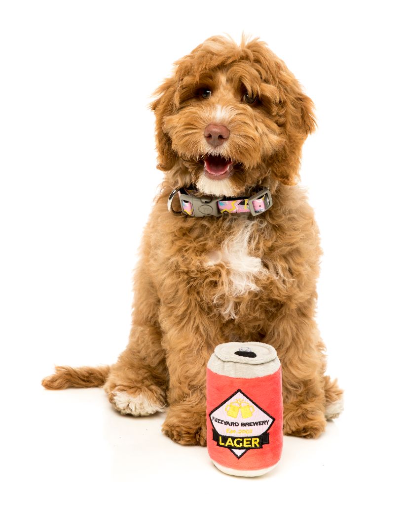 Dog Plush Toy Beer